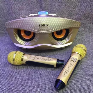 Loa Bluetooth karaoke SD-306 [HAY LẮM LUÔN ]