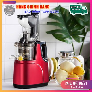 Máy ép chậm hoa quả Hongxin RH-312, máy ép chậm rau củ hoa quả, máy ép chậm trái cây - Bảo hành 12 tháng, chính hãng