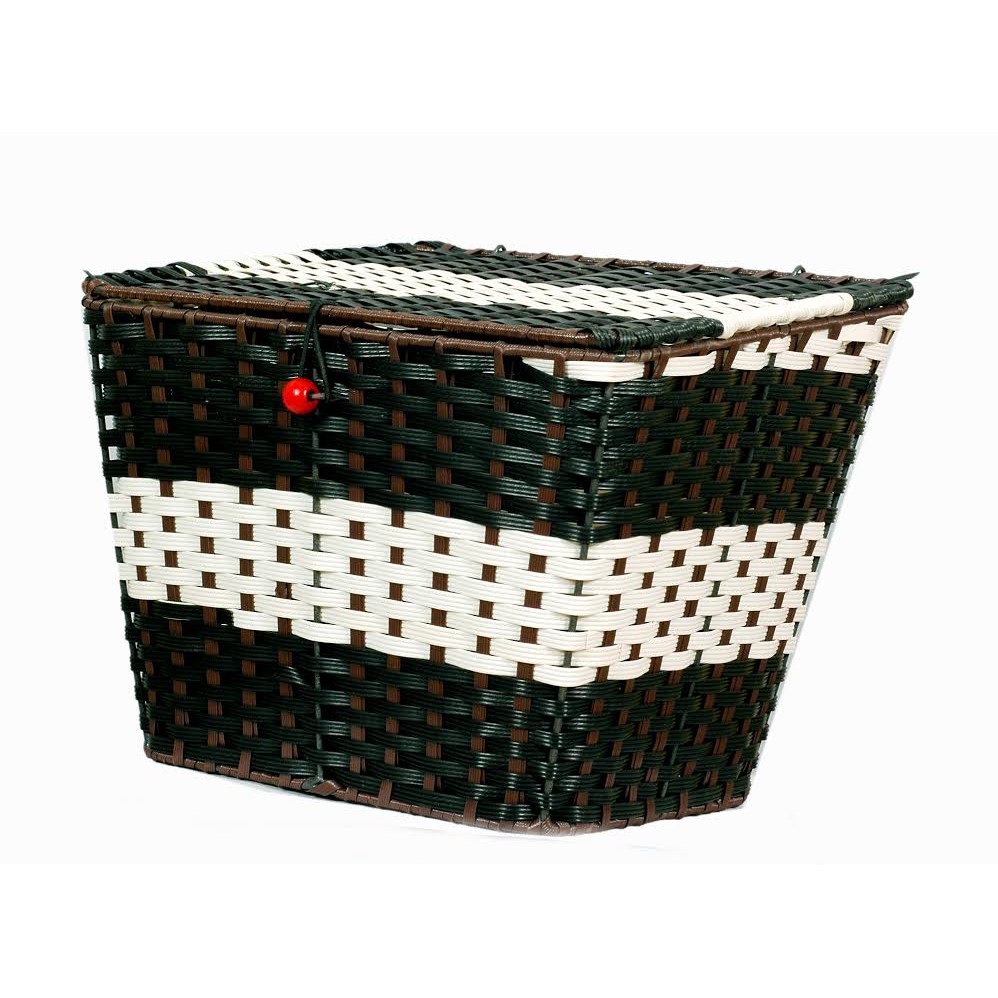 GIỎ XE ĐẠP ĐIỆN GIANT