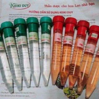 Combo 6 sản phẩm Kích Kie hoa Lan