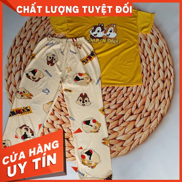 Set bộ dài 🍄DỄ THƯƠNG🍄 mặc nhà hình sóc siêu đáng yêu, mát mẻ dành cho những ngày hè ôi bức...