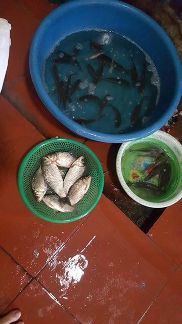 lồng bát quái cao cấp loại đẹp