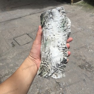 Hang Trú giả gỗ