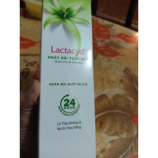 123DLu combo Lactacyd