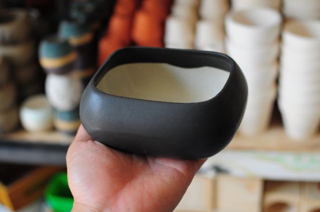 Chậu asa thấp 12x8 cm