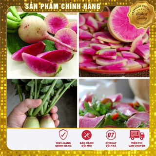 Hạt Giống Củ Cải Dưa Hấu Ngon Giòn (2gr)