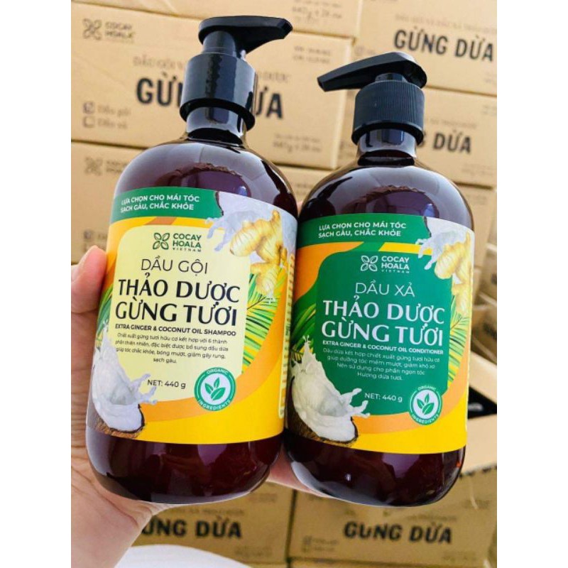 DẦU GỘI THẢO DƯỢC GỪNG DỪA