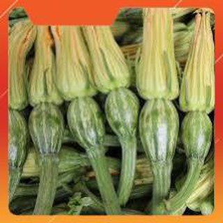 HẠT GIỐNG BÍ SIÊU NỤ GÓI 10 GRAM