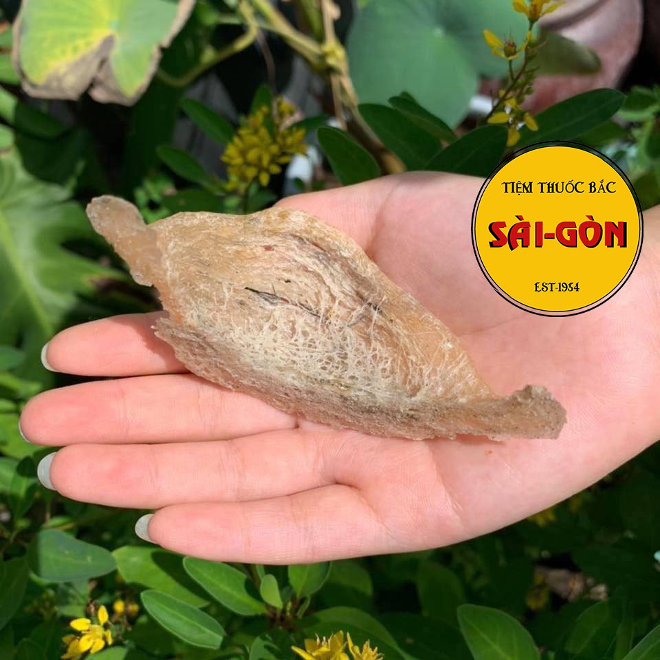 Yến Nhà Chưa Nhặt Lông 1kg