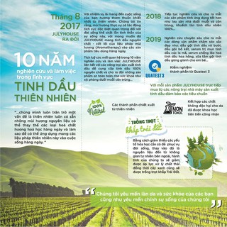 Bộ khuếch tán tinh dầu Cam Ngọt nguyên chất 5ml Julyhouse khử mùi, thơm phòng và thư giãn