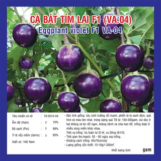 Hạt giống Cà Bát Tím Lai F1 (VA.04)