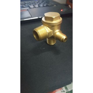 Van một chiều máy nén khí không dầu .