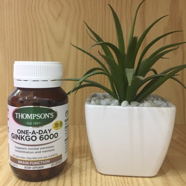 Bổ não Ginko Thompson 6000