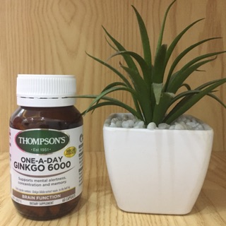 Bổ não Ginko Thompson 6000