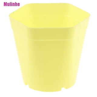 Set 5 Chậu nhựa trồng hoa mini