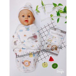 Ủ kén xô aden [Cao cấp]