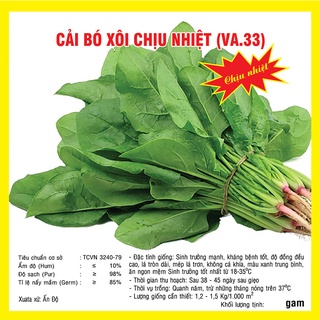 Hạt Giống Rau Chân Vịt / Cải Bó Xôi
