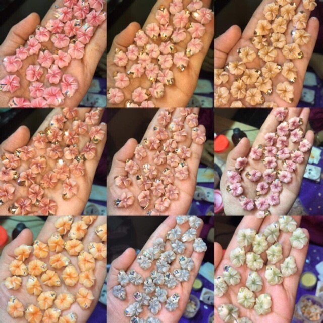 Hoa bột nail