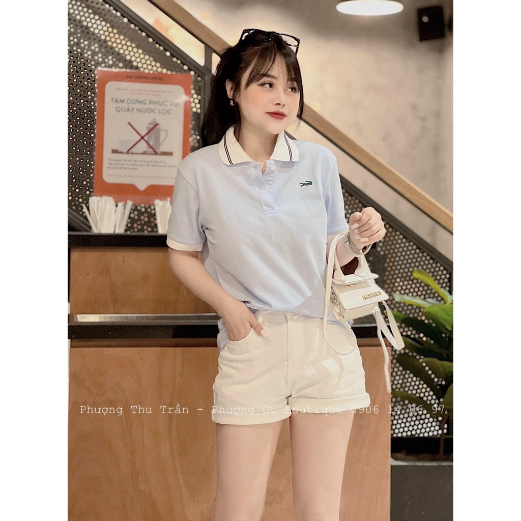 APN177 - ÁO POLO CÁ SẤU XANH NHẠT PHỐI CỔ KẺ CHO NỮ