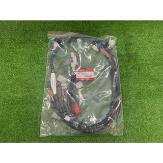 Dây điện sườn RGV/Xipo/Satria 120