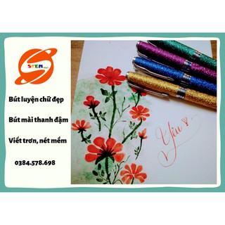 Bút luyện chữ đẹp cao cấp 💖TẶNG HỘP💖Bút Máy OUWEN 005 CALLIGRAPHY