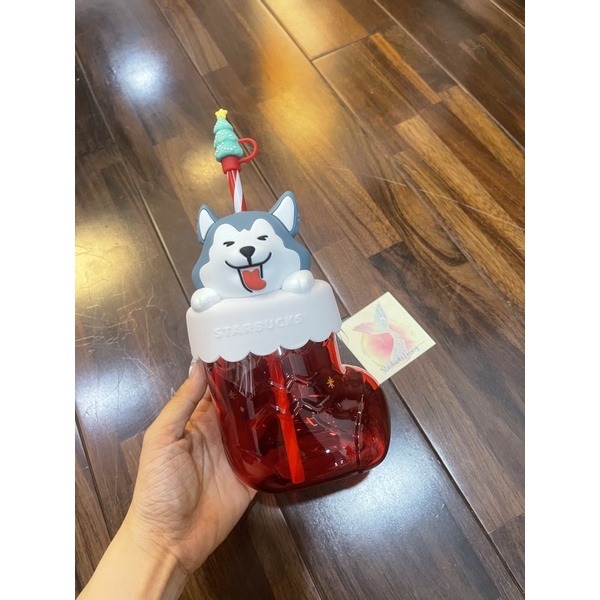Cốc cáo và thỏ Starbucks chính hãng
