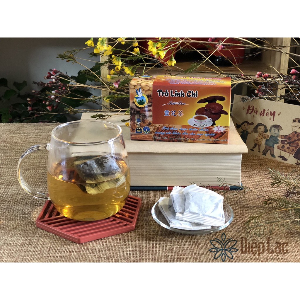 Trà túi lọc Linh Chi – Tăng cường sức đề kháng - Nguyên Thái Trang - thảo trà Diệp Lạc (sỉ/lẻ)