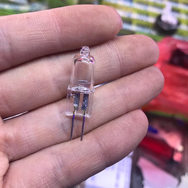 Bộ 100 bóng 12v 20w halogen