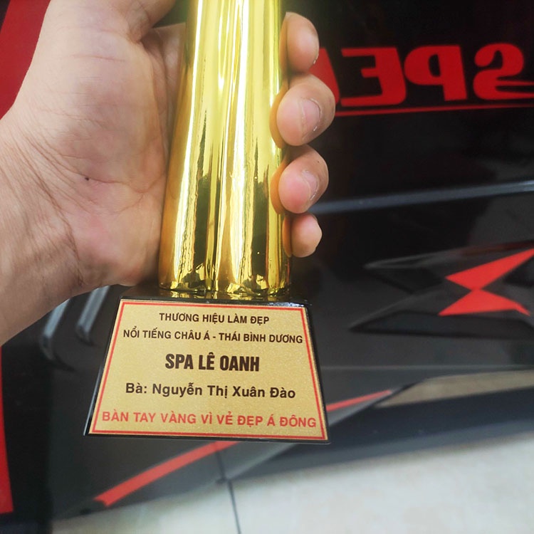 [Free in ấn logo] Cúp lưu niệm bàn tay ⚡Kỷ niệm chương - biểu trưng pha lê - cúp thể thao - cúp kim loại giá tốt