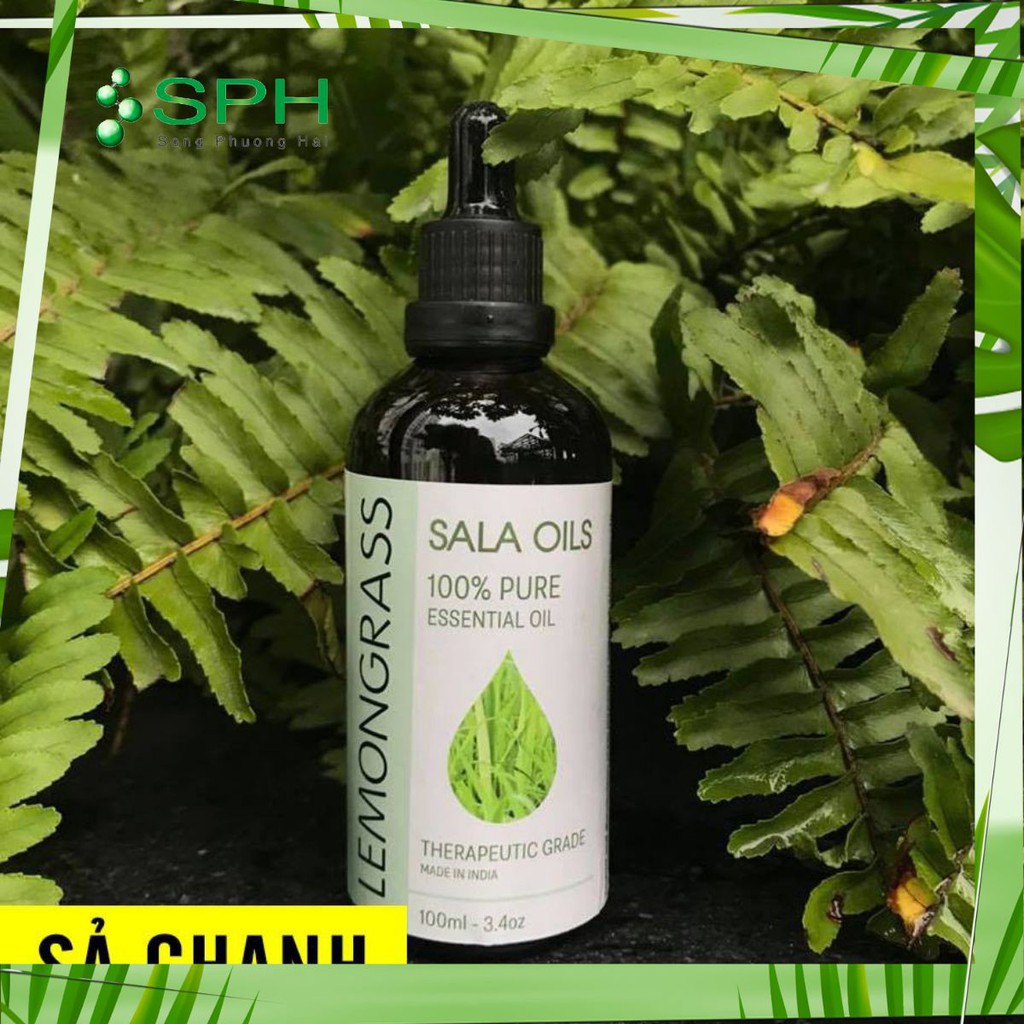 ✅ [HÀNG CÓ SẴN] GIÁ SỈ Tinh dầu sả chanh Sala Oil 100ML