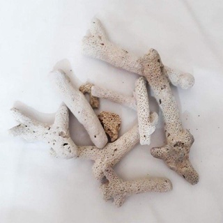 San Hô Lọc Hồ Cá 1kg (Mảnh to không vụn)