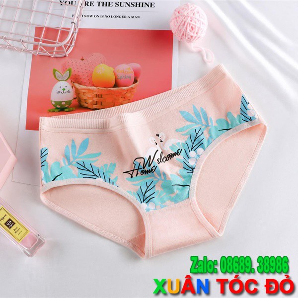 SỈ ZALO RẺ HƠN NHIỀU_ Quần Lót Thiên Nga Màu Hồng Mới 5067 | BigBuy360 - bigbuy360.vn