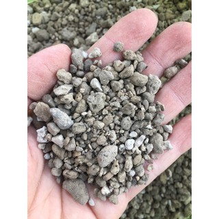 Đá trồng sen đá xương rồng pumice indo 3-6mm 25k/kg