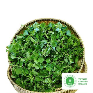 10g Hạt giống Rau dền cơm THUTHUY