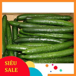 10 Hạt giống Dưa chuột nhật (trái dài) (tặng gói kích nẩy mầm và hướng dẫn) VIETPHAT