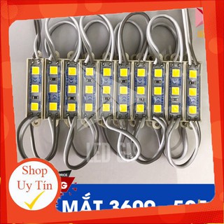 Flash sale led hắt 3 bóng 3609 - chip led 5054 5.0 hot