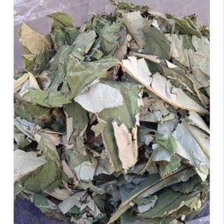 1 Kg Lá sen Hà nội đầu mùa khô thơm nguyên chất