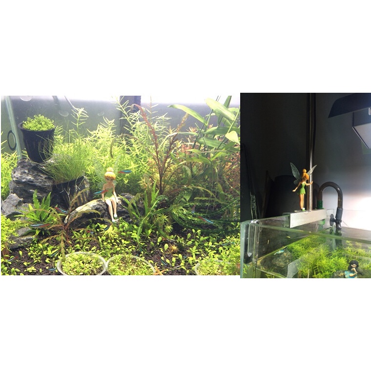 Bộ 6 Búp Bê Trang Trí Bể Cá