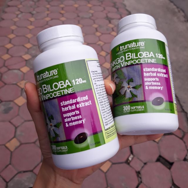 Ginko biloba  có flavonoid chất chống oxy hóa mạnh mẽ  và terpenoid cải thiện lưu thông máu.6