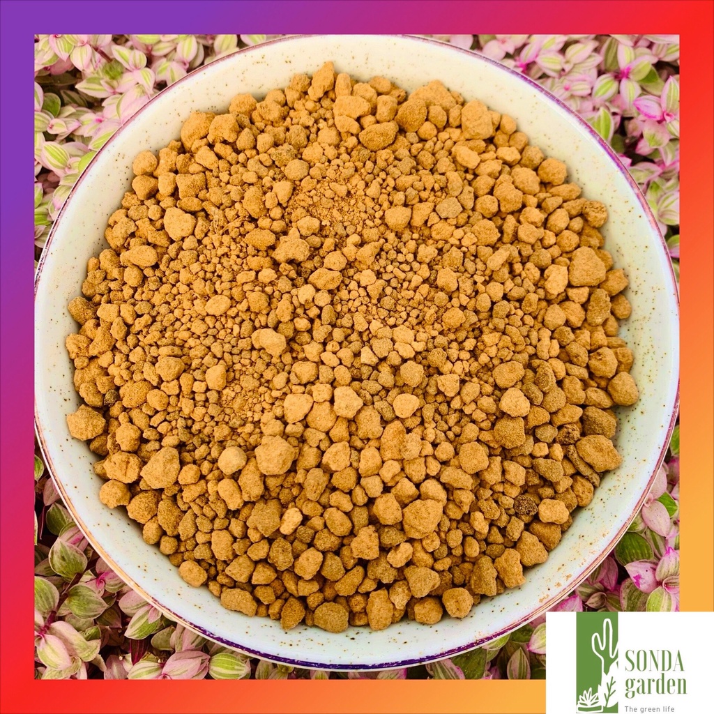 Đất akadama SONDA GARDEN (1kg) cho sen đá, xương rồng