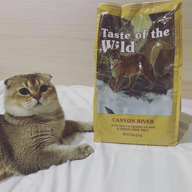 Thức Ăn Cho Mèo Nga Taste Of The Wild Canyon River Bao 2kg - Cá Hồi, Rau Củ Quả, Trái Cây Tự Nhiên