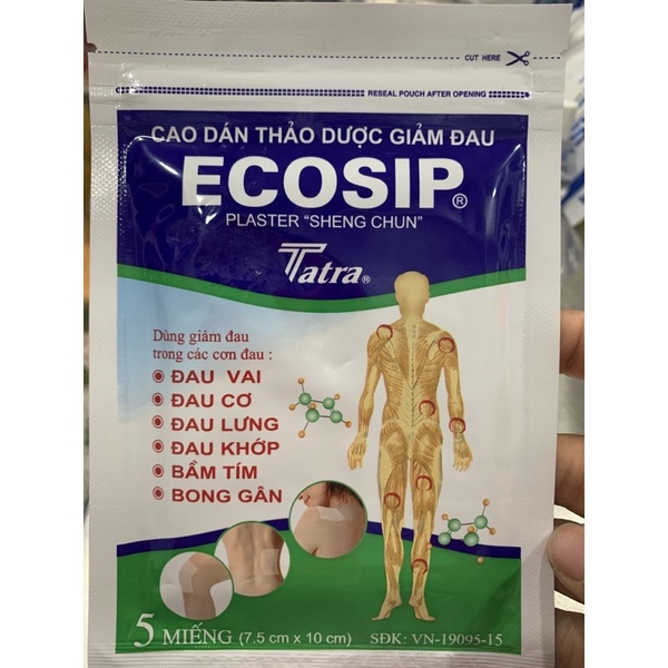 Cao Dán Thảo Dược Giảm Đau ECOSIP