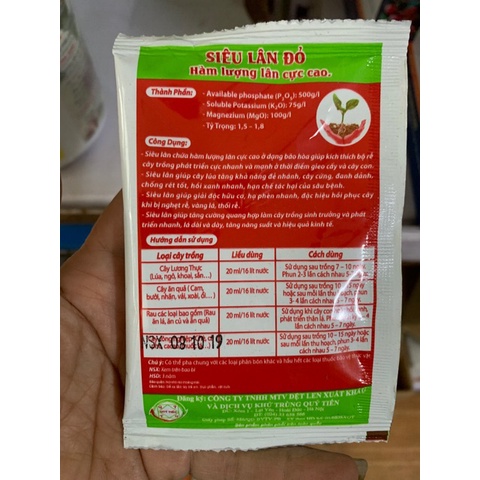 Siêu lân đỏ cho hoa