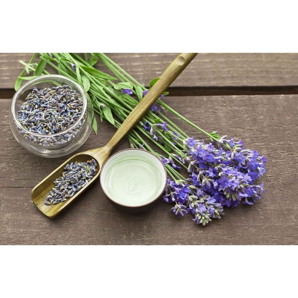 lavender 100 gram hoa oải hương cao cấp