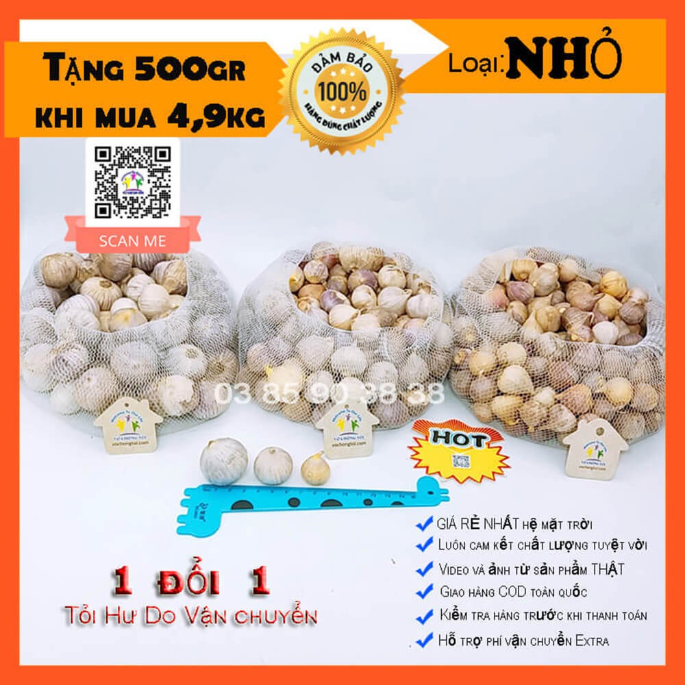 2 kg tỏi cô đơn Việt Nam loại NHỎ ngon lành, tỏi 1 nhánh Hải Dương, tỏi mồ côi bón phân sinh học cực tốt cho sức khỏe