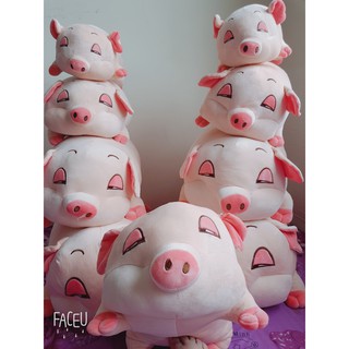 GẤU BÔNG HEO LƯỜI CAO CẤP