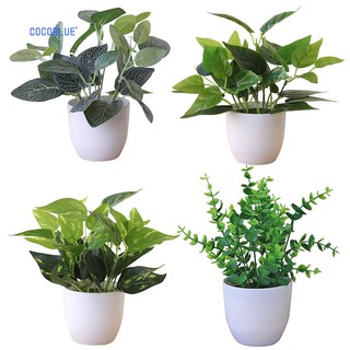 Chậu cây bonsai giả để bàn trang trí