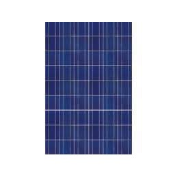 Tấm pin năng lượng mặt trời 100W Poly