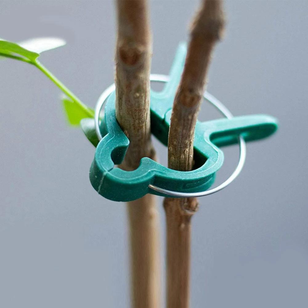 Kẹp Cố Định Cành Cây Lan / Cà Chua Chống Thời Tiết Tiện Dụng Cho Sân Vườn