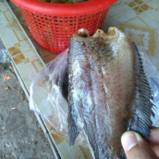 Khô cá sặc bổi